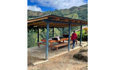 FINCA PRODUCTORA DE AGUACATE HASS- BELMIRA