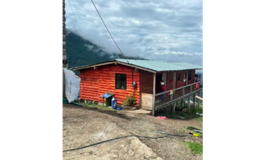 FINCA PRODUCTORA DE AGUACATE HASS- BELMIRA