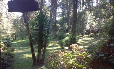 Remato 10 HAS en Acaxochitlan. Hidalgo. Pueblo mágico..Todo o ls mitad.