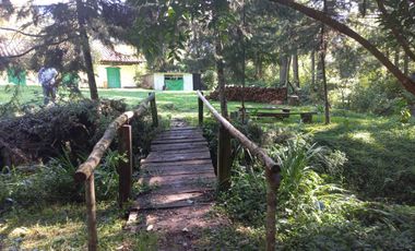 Remato 10 HAS en Acaxochitlan. Hidalgo. Pueblo mágico..Todo o ls mitad.