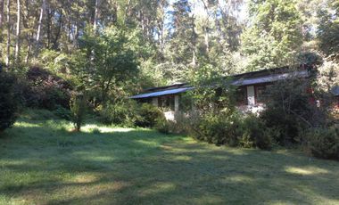 Remato 10 HAS en Acaxochitlan. Hidalgo. Pueblo mágico..Todo o ls mitad.