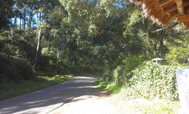 Remato 10 HAS en Acaxochitlan. Hidalgo. Pueblo mágico..Todo o ls mitad.