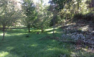 Remato 10 HAS en Acaxochitlan. Hidalgo. Pueblo mágico..Todo o ls mitad.