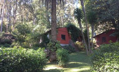 Remato 10 HAS en Acaxochitlan. Hidalgo. Pueblo mágico..Todo o ls mitad.