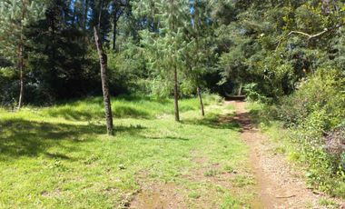 Remato 10 HAS en Acaxochitlan. Hidalgo. Pueblo mágico..Todo o ls mitad.