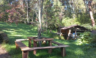 Remato 10 HAS en Acaxochitlan. Hidalgo. Pueblo mágico..Todo o ls mitad.