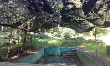 Remato 10 HAS en Acaxochitlan. Hidalgo. Pueblo mágico..Todo o ls mitad.