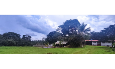 Se Vende Finca Titulada de 8.4 HAS en el Oeste