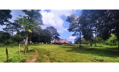 Se Vende Finca Titulada de 8.4 HAS en el Oeste