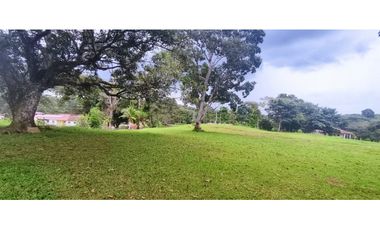 Se Vende Finca Titulada de 8.4 HAS en el Oeste