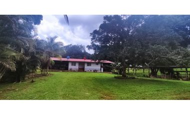 Se Vende Finca Titulada de 8.4 HAS en el Oeste