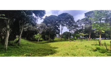 Se Vende Finca Titulada de 8.4 HAS en el Oeste