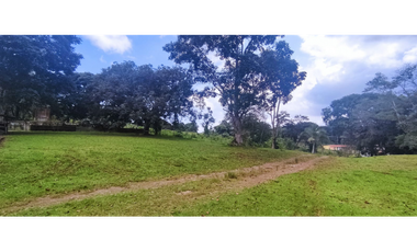 Se Vende Finca Titulada de 8.4 HAS en el Oeste