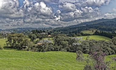 Se Vende Finca Titulada de 8.4 HAS en el Oeste