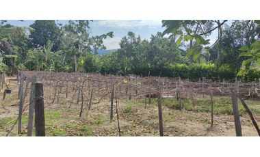 Tarapoto - Terreno en Venta 800 m2 - San Antonio de Cumbaza