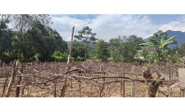 Tarapoto - Terreno en Venta 800 m2 - San Antonio de Cumbaza