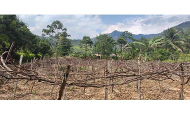 Tarapoto - Terreno en Venta 800 m2 - San Antonio de Cumbaza