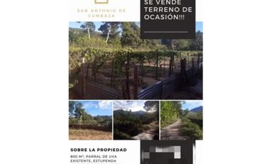 Tarapoto - Terreno en Venta 800 m2 - San Antonio de Cumbaza