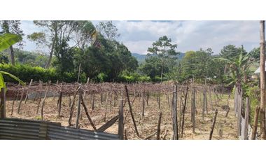 Tarapoto - Terreno en Venta 800 m2 - San Antonio de Cumbaza