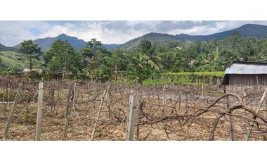 Tarapoto - Terreno en Venta 800 m2 - San Antonio de Cumbaza