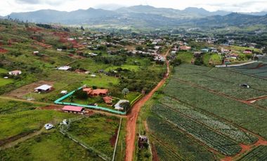 lote en venta en pavas. Cod V14552