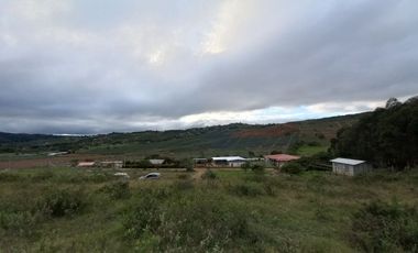 lote en venta en pavas. Cod V14552