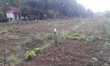 Tanah Datar Sangat Strategis Siap Bangun Sayap Cibabat Cimahi