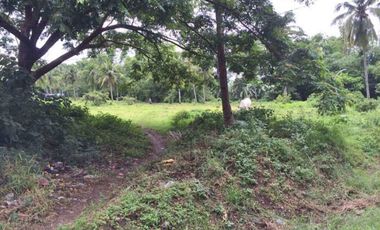 8,236sqm Commercial Land along Main Road in Rosario Batangas