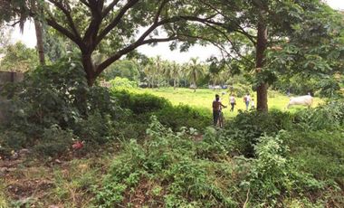 8,236sqm Commercial Land along Main Road in Rosario Batangas
