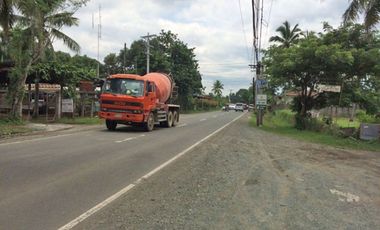 8,236sqm Commercial Land along Main Road in Rosario Batangas