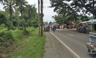8,236sqm Commercial Land along Main Road in Rosario Batangas