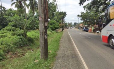8,236sqm Commercial Land along Main Road in Rosario Batangas