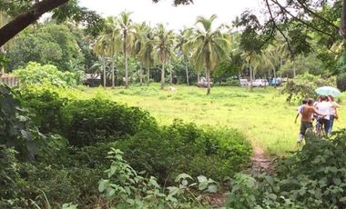 8,236sqm Commercial Land along Main Road in Rosario Batangas