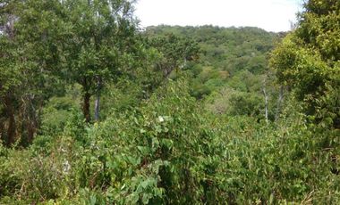 TERRENO EN VENTA EN MAZUNTE, documentos en orden