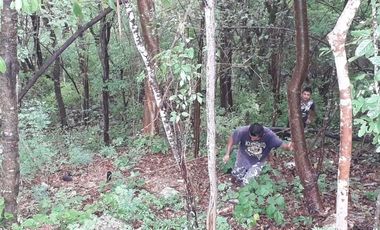 TERRENO EN VENTA EN MAZUNTE, documentos en orden