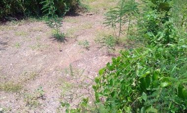 TERRENO EN VENTA EN MAZUNTE, documentos en orden