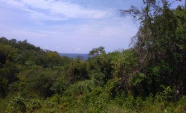 TERRENO EN VENTA EN MAZUNTE, documentos en orden