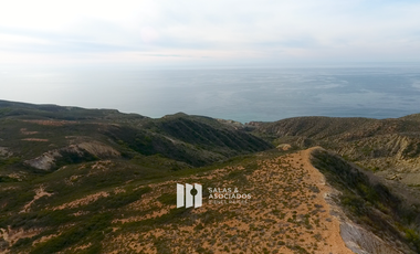 100 HA. OCEAN VIEW VECINO DE CUATRO CUATROS  VALLE DE GUADALUPE