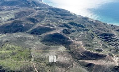 100 HA. OCEAN VIEW VECINO DE CUATRO CUATROS  VALLE DE GUADALUPE