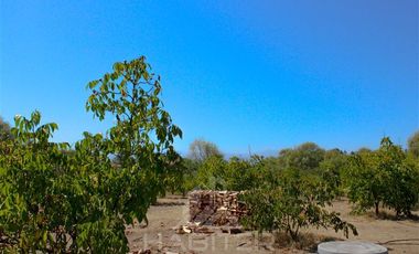 Agrícola en Venta en Pange Alto