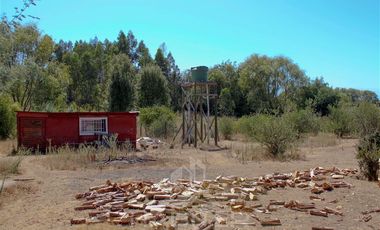 Agrícola en Venta en Pange Alto