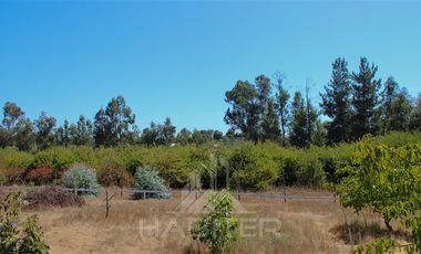 Agrícola en Venta en Pange Alto