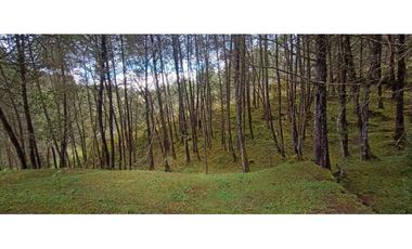 Lote Independiente Vereda Bella Vista Guarne