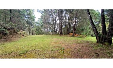 Lote Independiente Vereda Bella Vista Guarne