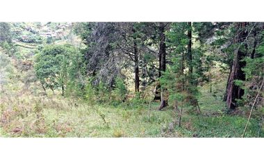 Lote Independiente Vereda Bella Vista Guarne