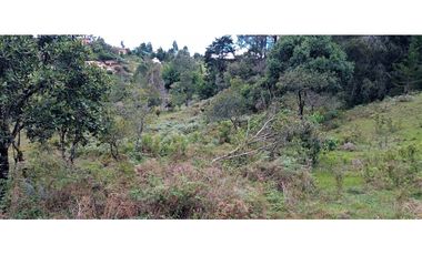 Lote Independiente Vereda Bella Vista Guarne