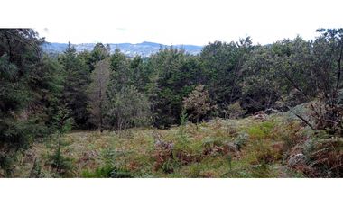 Lote Independiente Vereda Bella Vista Guarne