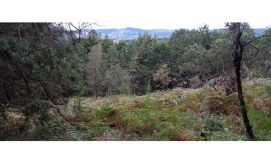 Lote Independiente Vereda Bella Vista Guarne