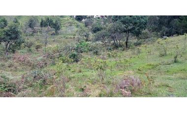 Lote Independiente Vereda Bella Vista Guarne