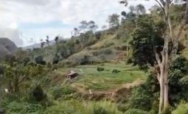 Land in Sembalun near Mount Rinjani